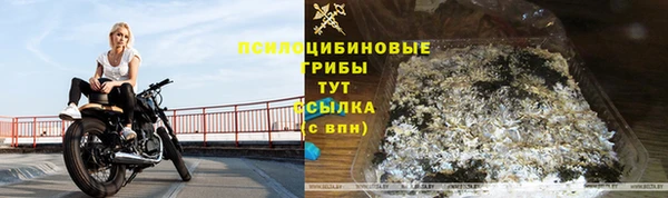 ALPHA-PVP Горняк