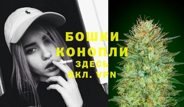 бошки Горнозаводск